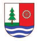 projekty nadace bez