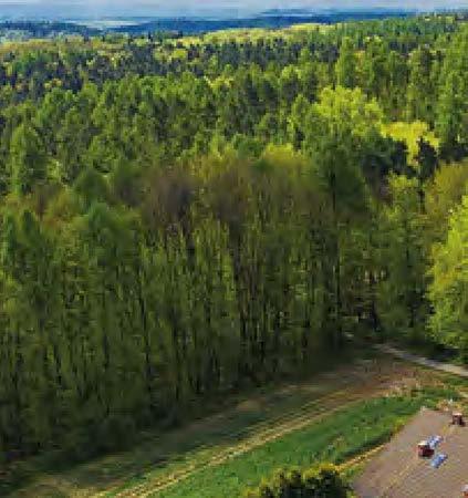 ELDIS Pardubice, s.r.o.
