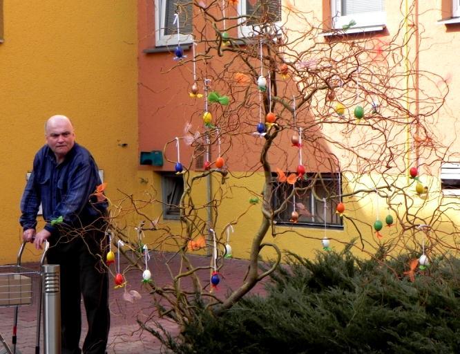 Velikonoční strom Začíná jaro a na naší zahradě se prořezávají stromy a keře.