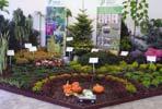 roubované, Paeonia suffruticosa roubovaná, Quercus roubovaný a sortiment více jak 50 odrůd Hemerocalis a