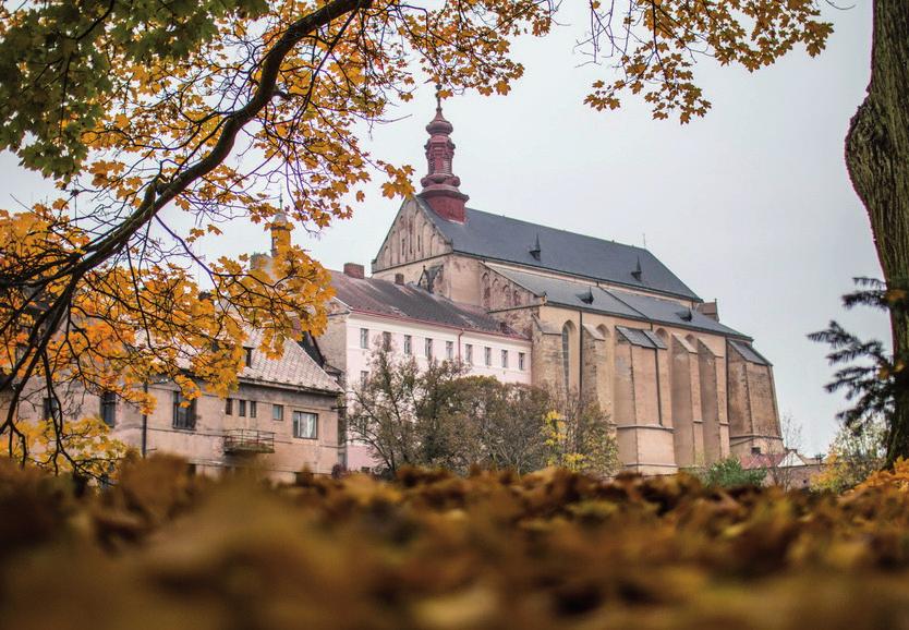 Jaroměř 5 Rozloha MPZ _ 130,54 ha Počet památek _ 245 (z toho 245 v MPZ) Chrám sv. Mikuláše.