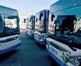 dubna 2019 zahájil brněnský dopravní podnik provoz retro tramvají. Historické vozy tak můžete potkávat každý nepracovní den na lince číslo 10.