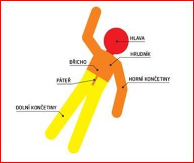 Procento výskytu poškození příslušné části těla cyklisty v případě jeho těžkého či smrtelného zranění