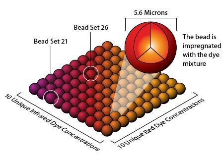 Metody mikrokuliček (identifikace mikrokuliček) a na jejich povrchu (měření fluorescence navázaného vzorku). Obrázek 20.