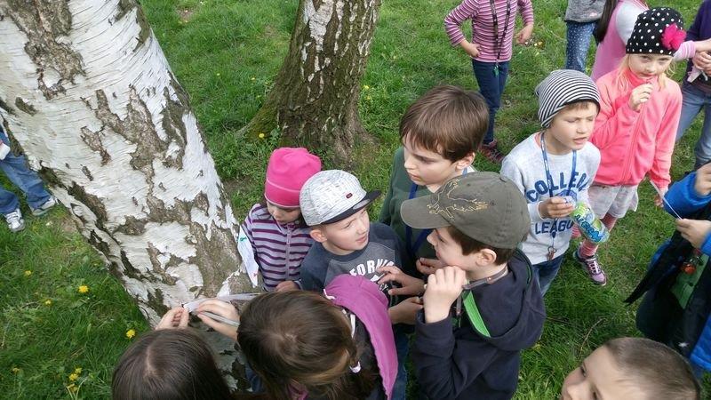 Honba za zlatým pokladem Ve čtvrtek 4. května jsme procházkou došli k povodí Vltavy, kde bylo ukryto na kmenech stromů v okolí několik otázek.