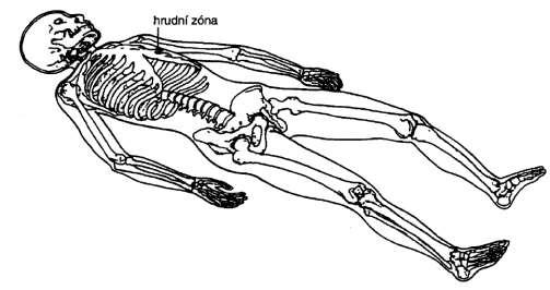 (Vojta, Peters, 2010)  4: Hrudní zóna