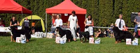 Cinderella Záře Démantů 3. místo: Lucie Plšková, 11 let, APZ, Edith Balmoral Moravia 4. místo: Jakub Kopecký, 11 let, BSP, Ch.
