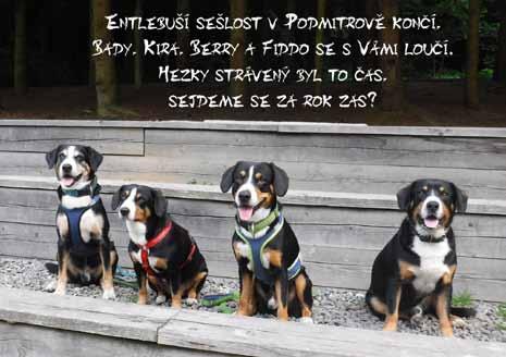 PŘÍSPĚVKY ČLENŮ KLUBU Jménem všech účastníků velmi děkujeme Páje, Marcelce, Alešovi a jejich rodinám za uspořádání a organizaci tohoto krásného víkendového setkání, které jsme si spolu všichni moc