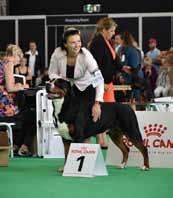 PŘÍSPĚVKY ČLENŮ KLUBU World Dog Show Amsterdam Dne 12. 8. 2018 se konala světová výstava World dog show v Amsterdamu.