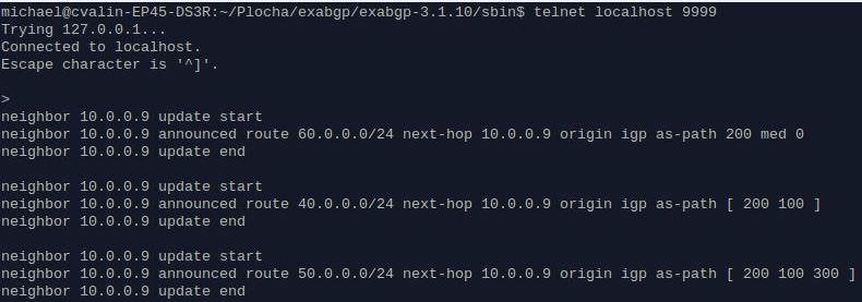 Obrázek 9: ExaBGP Příkazem telnet localhost 9999, se připojíme na tcp server ExaBGP. Po připojení vidíme všechny cesty, které ExaBGP přijal. Příkazem help se zobrazí seznam všech příkazů, např: 1.