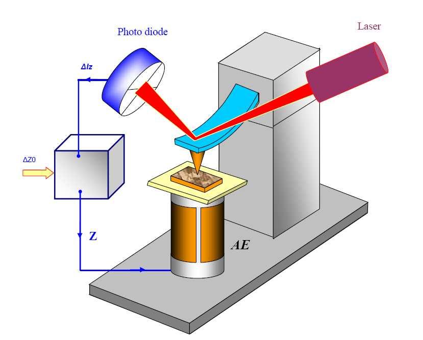 tube scanner, which controls the movement of sample in x-y plane in a raster pattern and to move the sample in z direction.