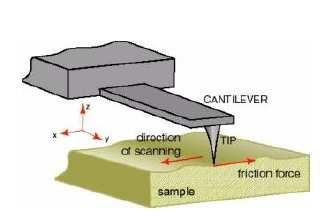 or decrease depending on the frictional characteristics of the surface (greater torsion results from increased friction).