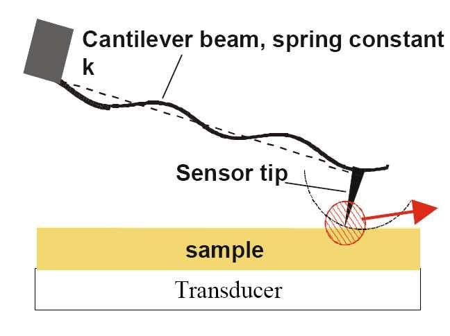 2.6 Atomic Force Acoustic Measurement (AFAM) Atomic Force Acoustic Microscopy is a new SPM measuring mode developed at the Fraunhofer Institute of Nanodestructive Testing, Saarbruecken, Germany [35,