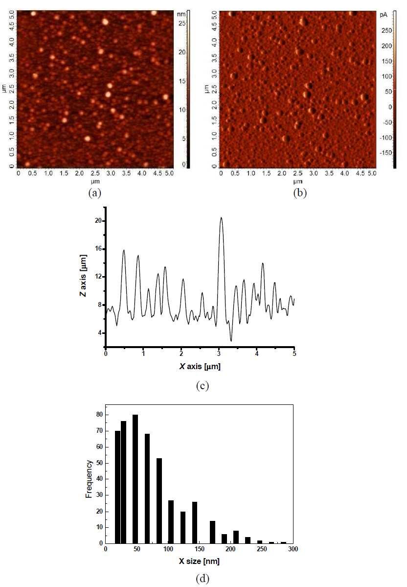 Fig. 42 Surface morphology of pp-tvs films deposited at 25 W: (a)