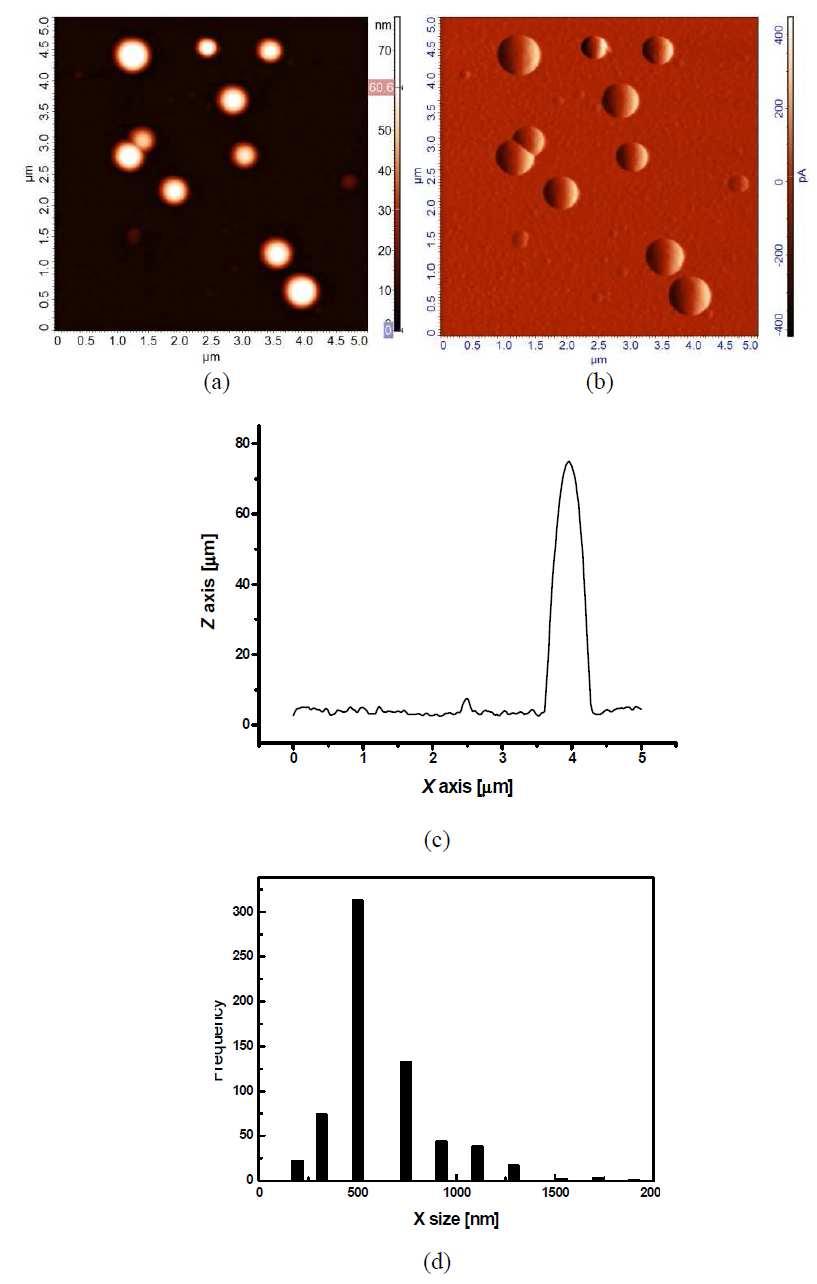 Fig. 43 Surface morphology of pp-tvs films deposited at 50 W: (a)