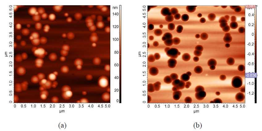 polymers. The AFAM experiment was carried out on pp-tvs film deposited at 70 W RF power. It was used to measure the magnitude change of cantilever vibrating near to its resonance frequency.