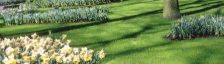 Granupermanent CRF Universal Controlled Release Fertilizer Granupermanent Universal je hnojivo obalované pryskyřicí a je speciálně vyvinuto pro sportovní trávníky, golfové fairwaye a veřejná hřiště.