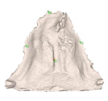Modely byly dále zpracovány metodami geometrické morfometrie. Pracovali jsme v programu MorphoStudio 3.02, který se skládá z řady dílčích programů. 4.2.1.