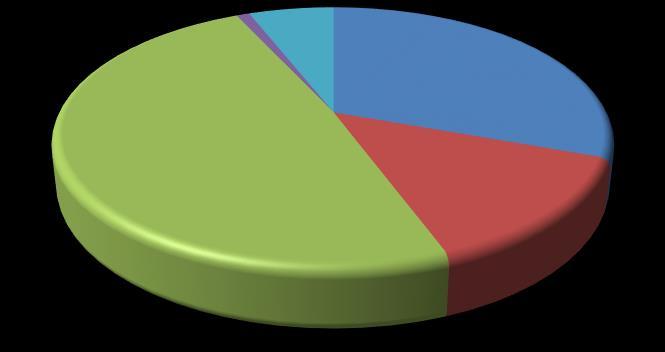 Obrázek 1-3 Podíly významných zákazníků na celkových tržbách v roce 2016 Rieter CZ s.r.o. 1% Ostatní 6% Caterpillar 31% Homag Group 49% HAMM AG 14% Zdroj: Vlastní zpracování na základě dat společnosti Elitex Nepomuk, a.