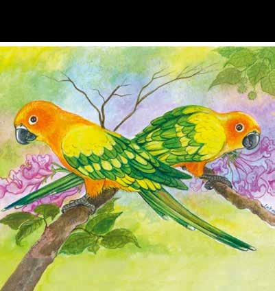 Aratinga sluneční Aratinga sluneční je papoušek žijící v Jižní Americe. Je možné jej spatřit v obrovských hejnech. Strom obsazený aratingami slunečními vypadá, jako by právě kvetl žlutými květy.
