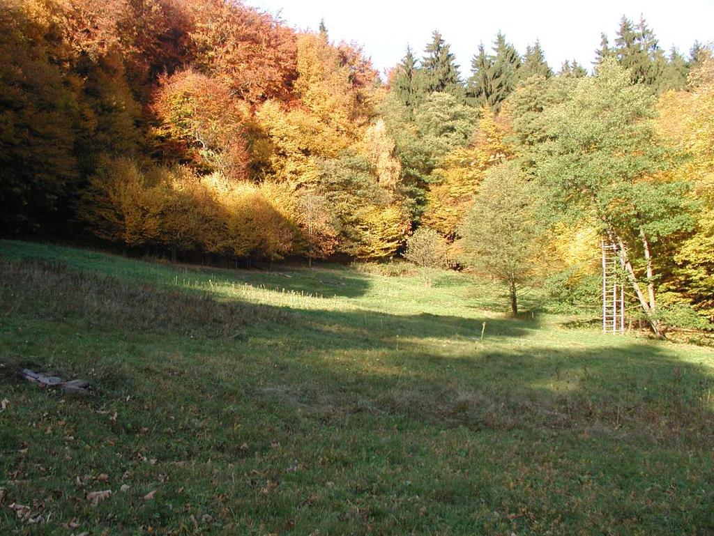 2001 (M.