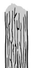 deformace