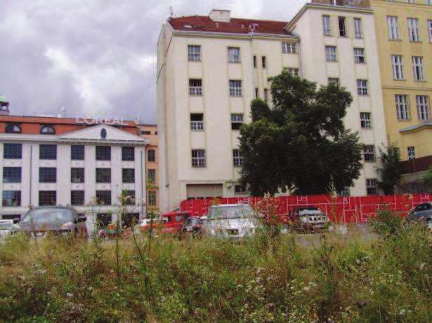 Obr. 3 Soubor fotografií zájmového