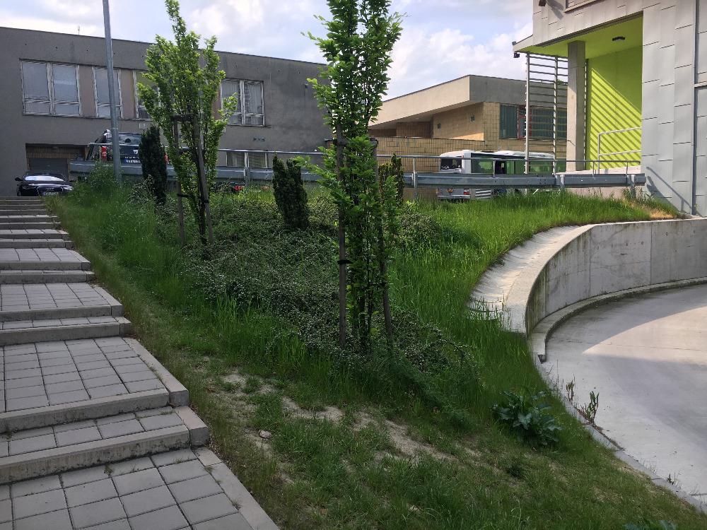Dotaz č.
