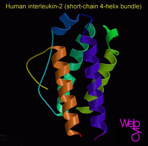 http://www.genscript.com/protein/z00368-interleukin_2_il_2_human.