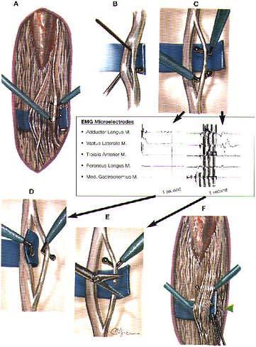 Obrázek 5.