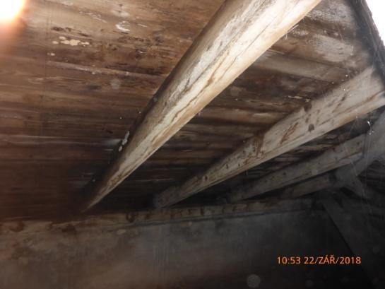 -16- Mycelium dřevokazné houby na krokvích a na pobíjení "D" Plodnice dřevokazné houby na pobíjení v místě odběru vzorku dřeva D10 "D" 3.1.5.