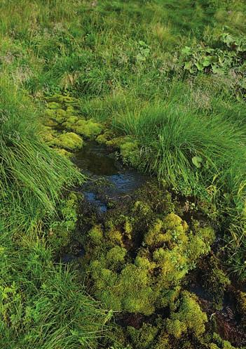 2 3 4 5 1 Moravice pramení na severovýchodním okraji karu v nadmořské výšce 1 325 m.