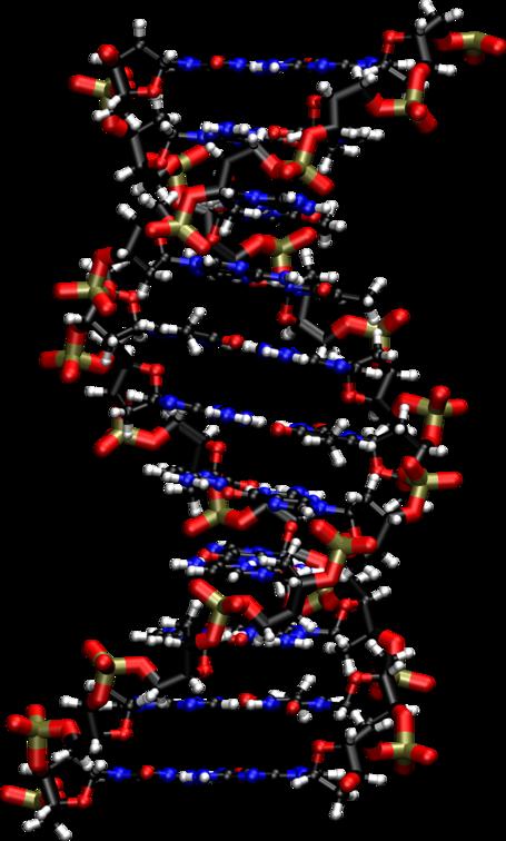 transcription translation DNA mrna protein Figure 1.
