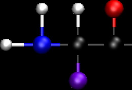 main chain first AA second AA... last AA side chains atoms: hydrogen oxygen nitrogen carbon side chain 1.3.1 Primary Structure Figure 1.