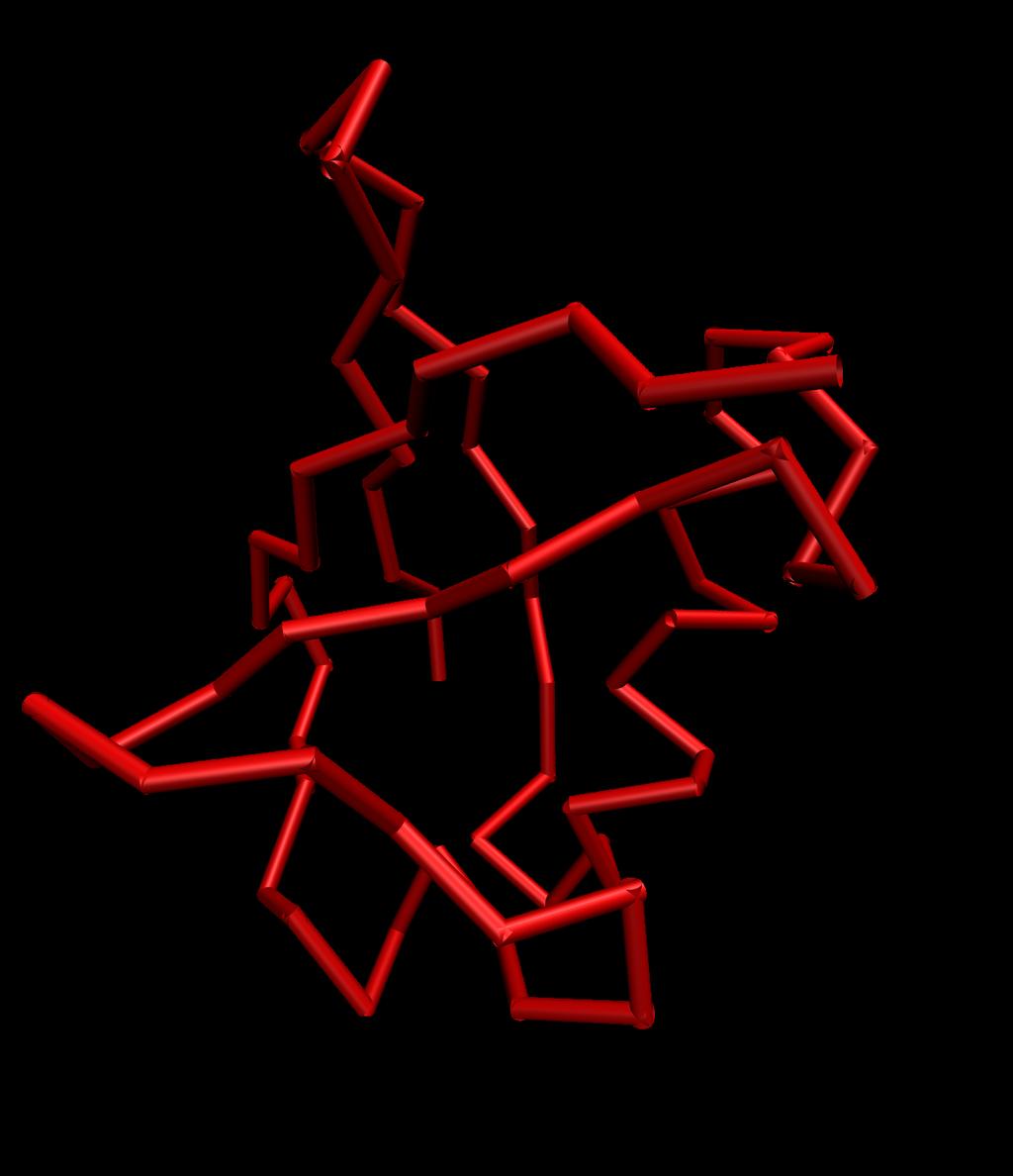 The amino acids of the active site are denoted with the red color. When the protein folds into the correct structure, then the amino acids become spatially close and form a biological scissors.