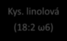 Příběh rybích tuků Kys. linolová (18:2 ω6) K.
