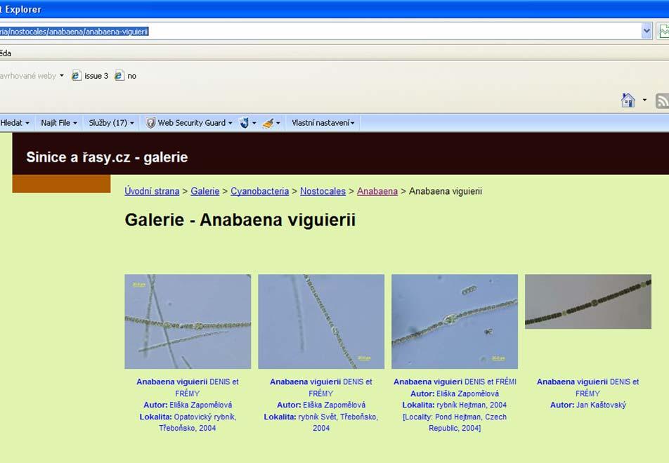 chyby i na algologických webech http://galerie.sinicearasy.