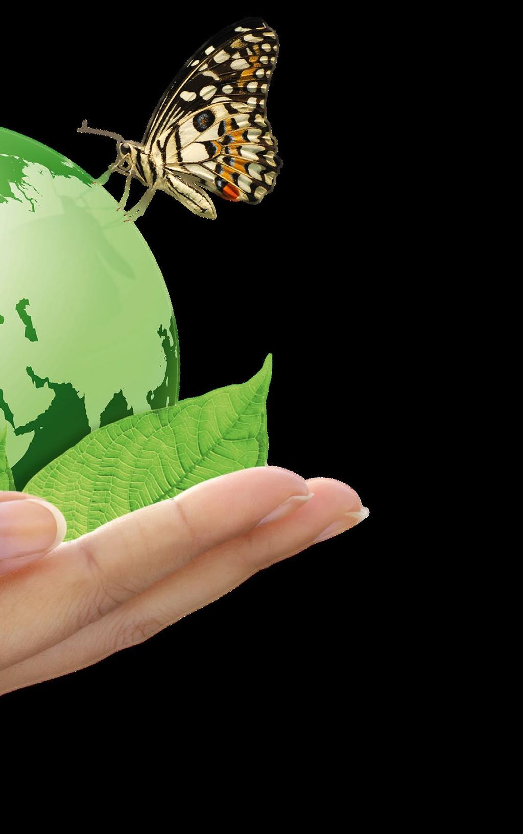 7 Se zaměřením na budoucnost Stálost a recyklovatelnost Podhledové panely OWA se skládají z biologicky rozložitelného materiálu, který je získáván z přírodních zdrojů a recyklovatelných materiálů v