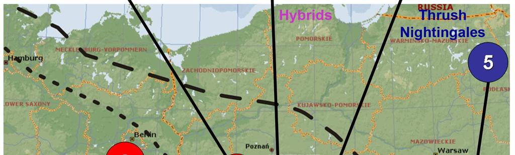 geographic position