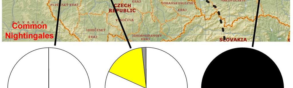 proportion of songs