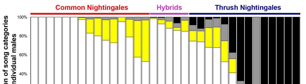 Figure 2. Proportion of songs in each category for each analysed individual. Males are ranked according to their areas of occurrence and to the proportion of identified song types in their songs.