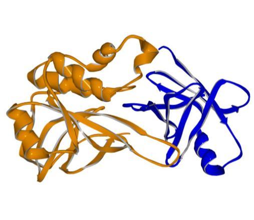 (oranžová) (PDB 1PXV).