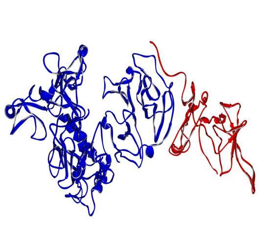 3 Inhibitory peptidas ve fyziologii rostlin Proteinové inhibitory regulují obecně u všech organismů endogenní proteolýzu. U rostlin mají kromě toho ještě další důležitou funkci a to obrannou.