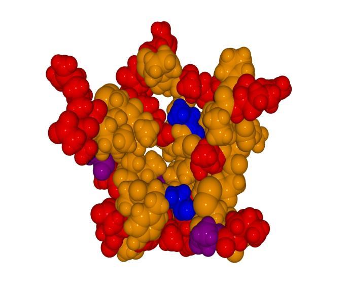 A) B) Obrázek 3.12: Kalotový způsob znázornění 3D modelu trypsinového inhibitoru z N. attenuata s vyznačenými polohami mutujících aminokyselin u izoinhibitorů z N.
