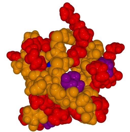 attenuata a ostatních druhů tabáku (červená), mutace odlišující jednotlivé inhibitory N. attenuata (modrá), společná místa mutací u inhibitorů z N.