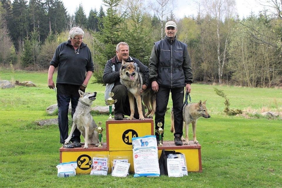Stopařský závod, vyhodnocení pracovního jedince a klubová výstava, 15.4. a 16.4. 2017, Nadějkov Stopařský závod FPr1+FPr3 8 psů/6psovodů 1.