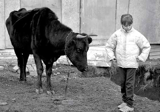 O vše přišli během jediné noci a zachránili jen holé životy. V nové vlasti pak museli začít opět od nuly. Než popíšeme, jak se žije rodině dnes, připomeňme si, jak vypadala jejich situace před lety.