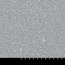 x + Ultra-jemné plnivo FSC technologie Vylepšený pryskyõiëný monomer Mikrohybrid - Typicky obsahuje ËásteËky skla