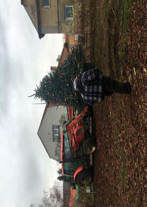 tradičně rozsvěcel vánoční strom, byla přivolána zimní královna.