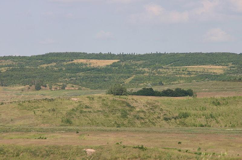 3 VÝSYPKA (STŘIMICKÁ, VELEBUDICKÁ, ČEPIROŽSKÁ) 3.1 Střimická výsypka Nachází se severně od města Mostu na katastrálním území Most I a Střimice. Jedná se o území bývalého lomu Maxim Gorkij.